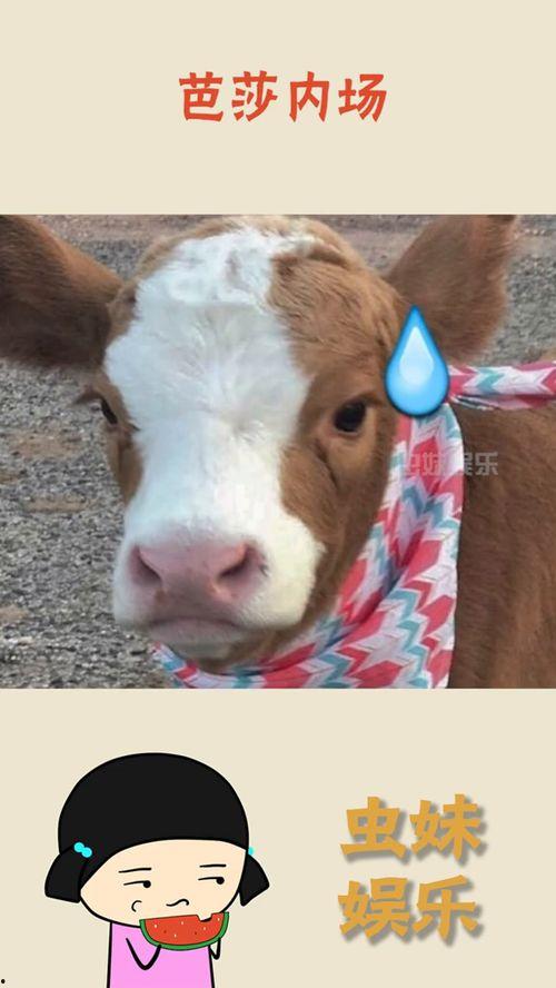 娱乐吃瓜的抖音,娱乐热点一网打尽