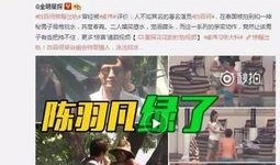 爆料衡水出轨视频播放,真相与伦理的碰撞