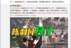 沾化出轨爆料事件视频,真相与舆论的漩涡