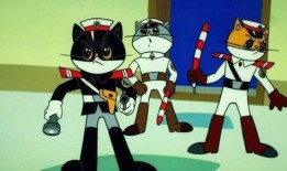 黑喵警长爆料视频下载,视频下载背后的秘密与技巧