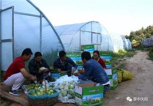 娱乐坊吃瓜一线,吃瓜一线，揭秘娱乐圈幕后风云