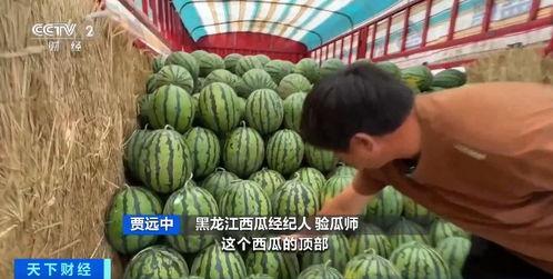 718吃瓜娱乐入口,带你领略热门话题新风向