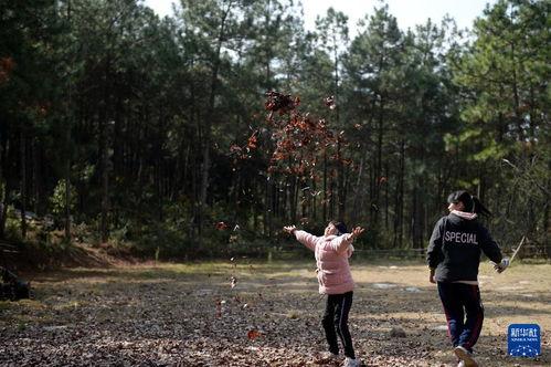 娱乐吃瓜酱拐进大山,揭秘不为人知的奇幻之旅