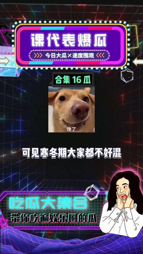 娱乐吃瓜 八卦图片,八卦图片背后的惊人真相
