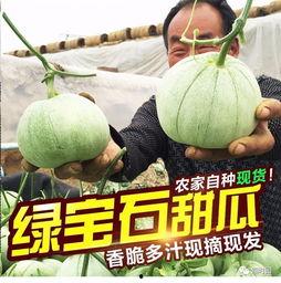 娱乐吃瓜起什么名字,揭秘明星幕后吃瓜大揭秘