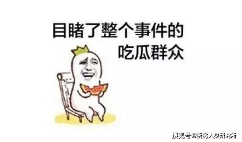 娱乐吃瓜君为啥要道歉,揭秘背后真相